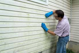 Best Insulated Siding Installation  in El Cerro Mission, NM